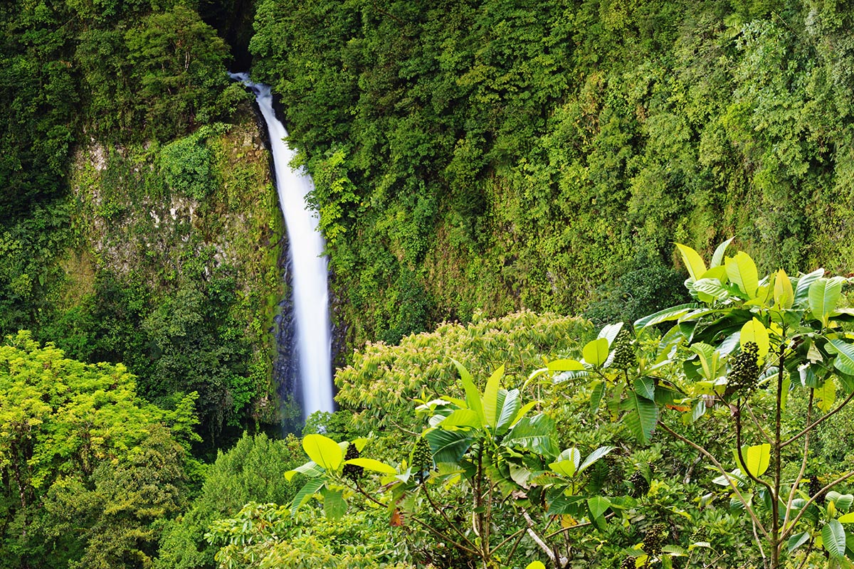 Costa Rica - a nature lover's nirvana