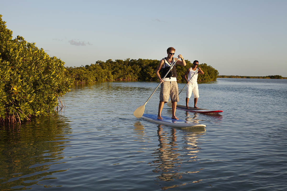 Paddleboarding through the island mangroves in Turks + Caicos