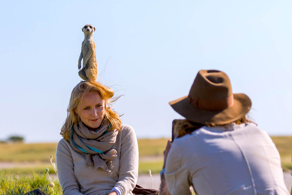 Meerkat on young travellers head