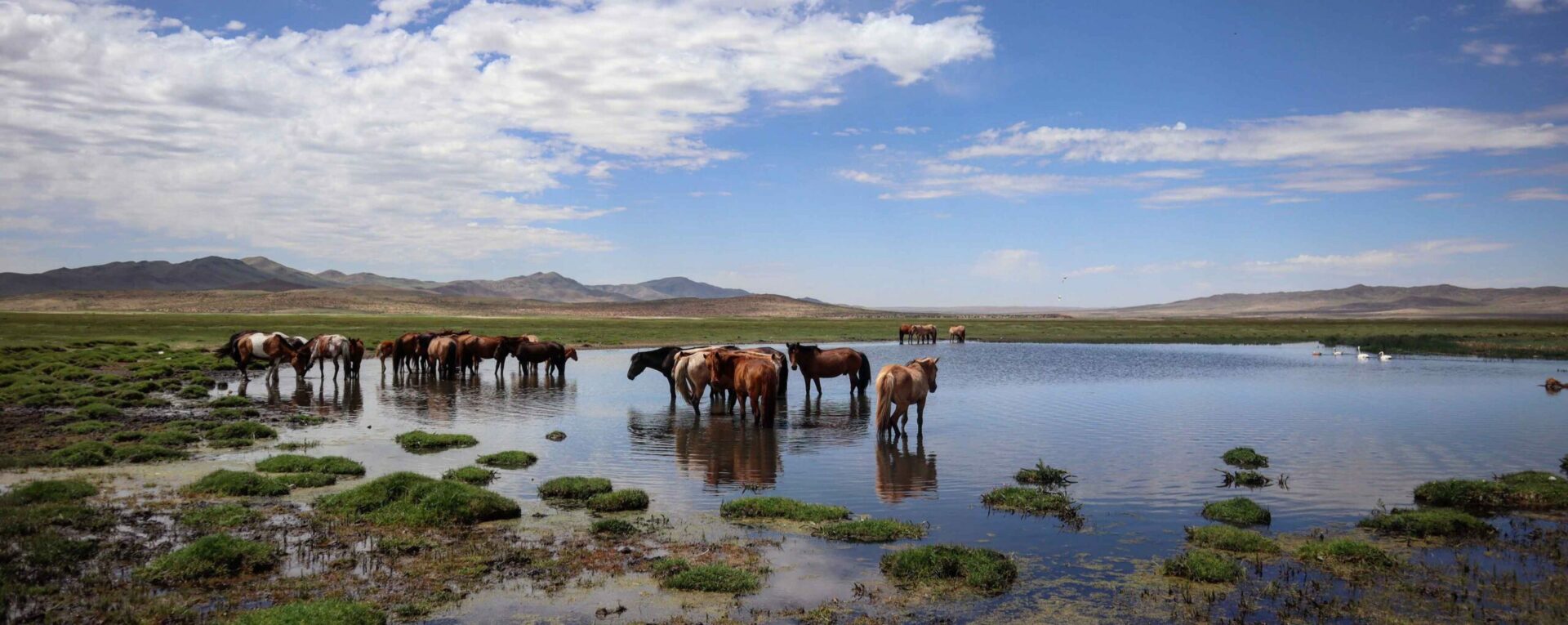 Luxury Mongolia Tailor-Made Holidays