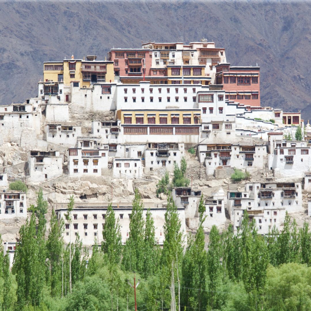 Thikse Monastery Ladakh, customised holidays