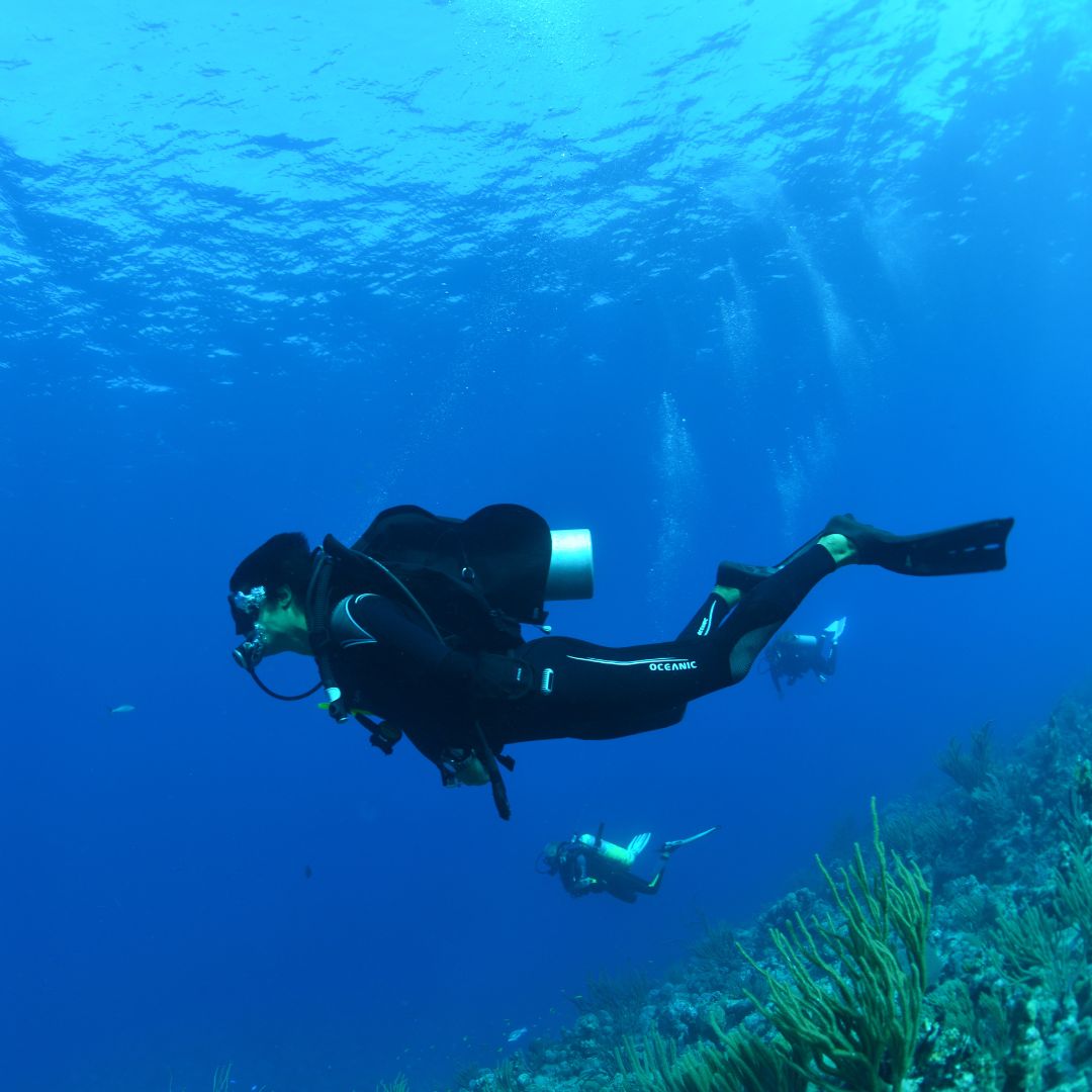 Diving Turks+Caicos