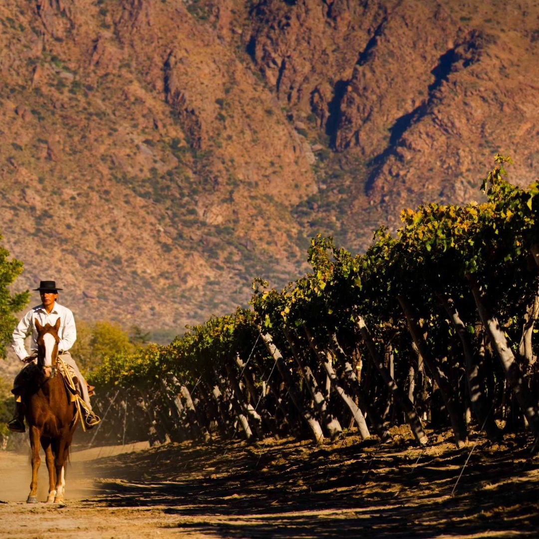 horse riding in Argentina